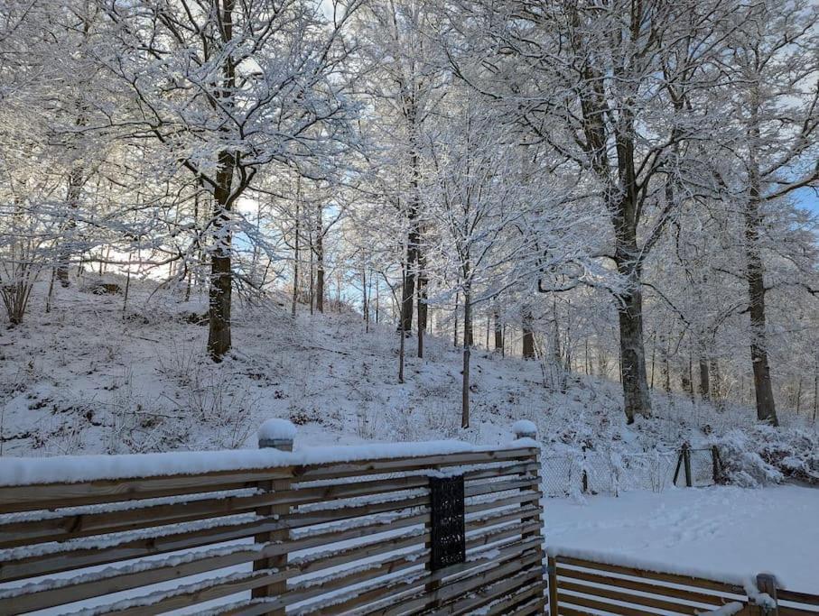 Beautiful And Cosy House Near The Lake Olofström Exterior foto